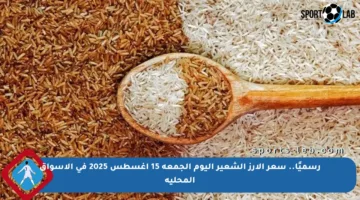 رسميًا.. سعر الأرز الشعير اليوم الجمعة 15 أغسطس 2025 في الأسواق المحلية